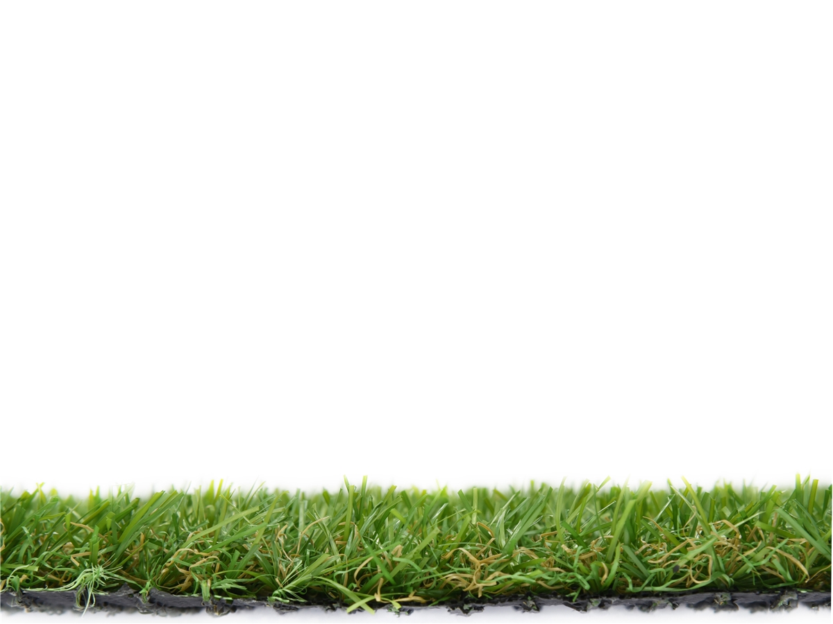 Fourth slide for pid 52783