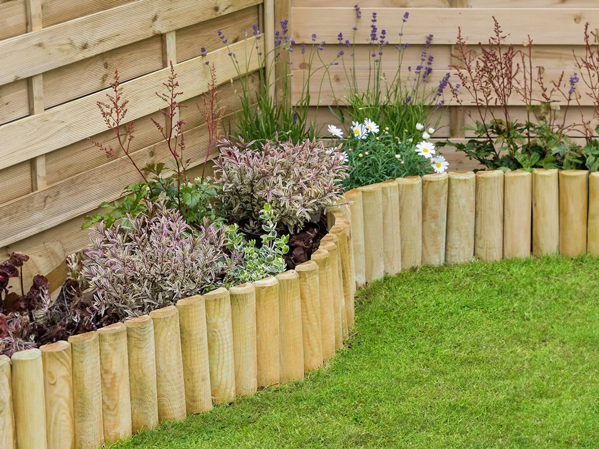 Second slide for pid 557