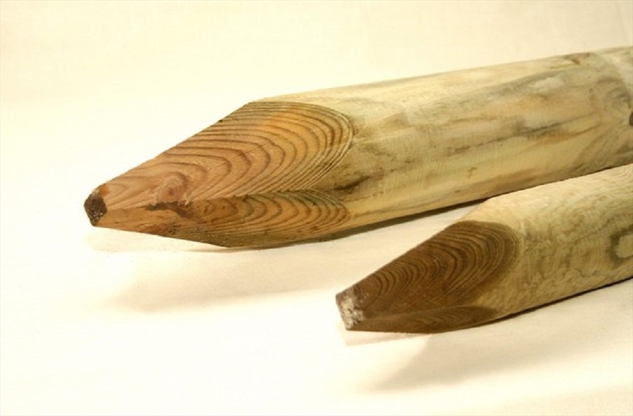 Second slide for pid 5888