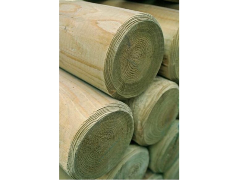 Second slide for pid 5901