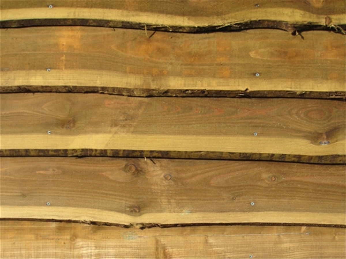 First slide for pid 6169