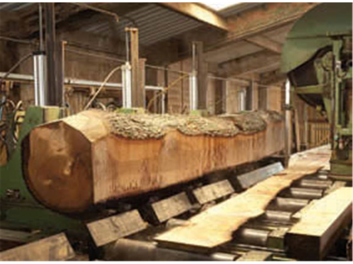 Third slide for pid 6169