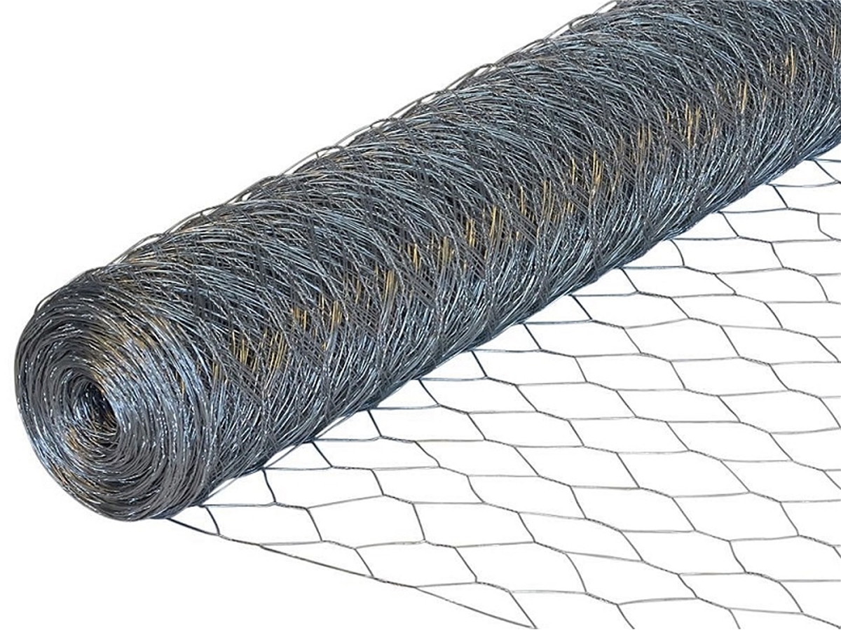 First slide for pid 6513