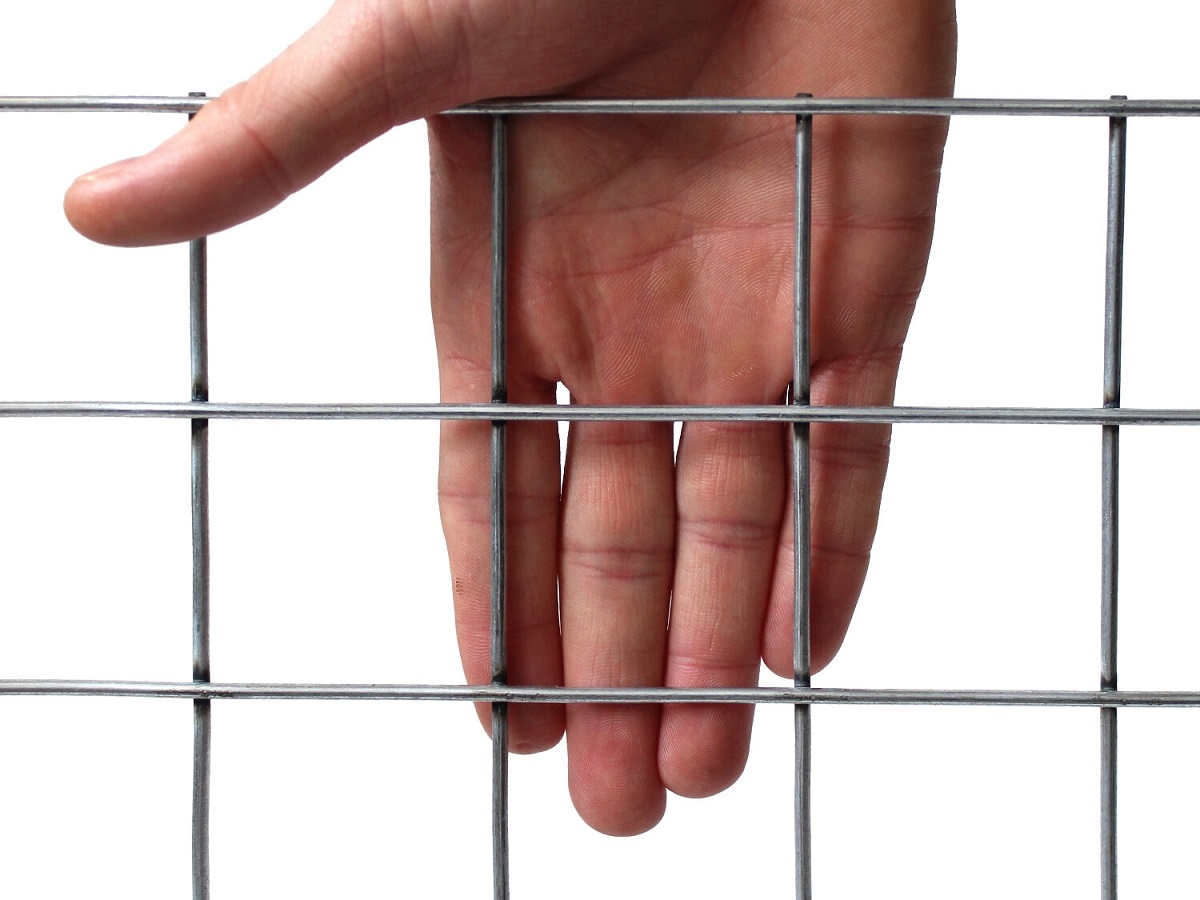 Second slide for pid 6522