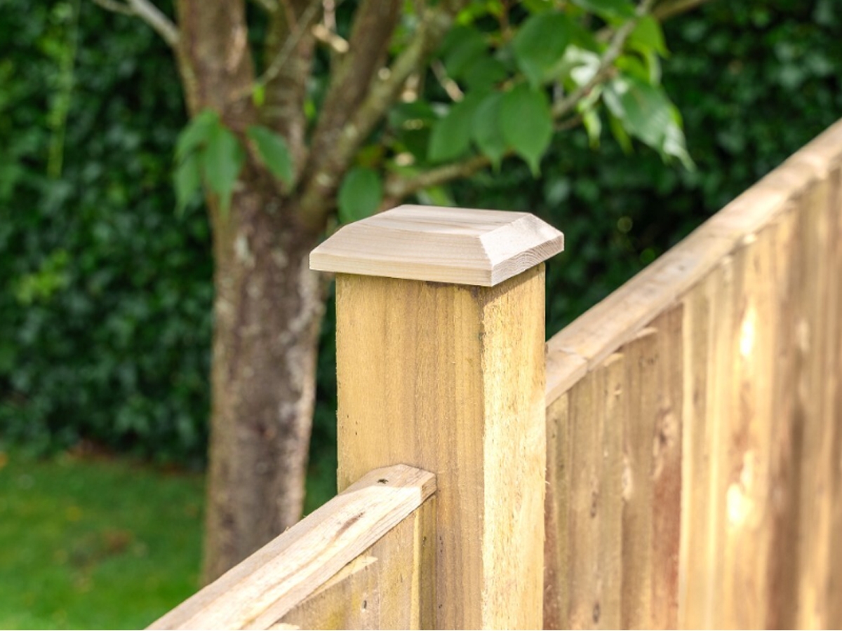 First slide for pid 7035