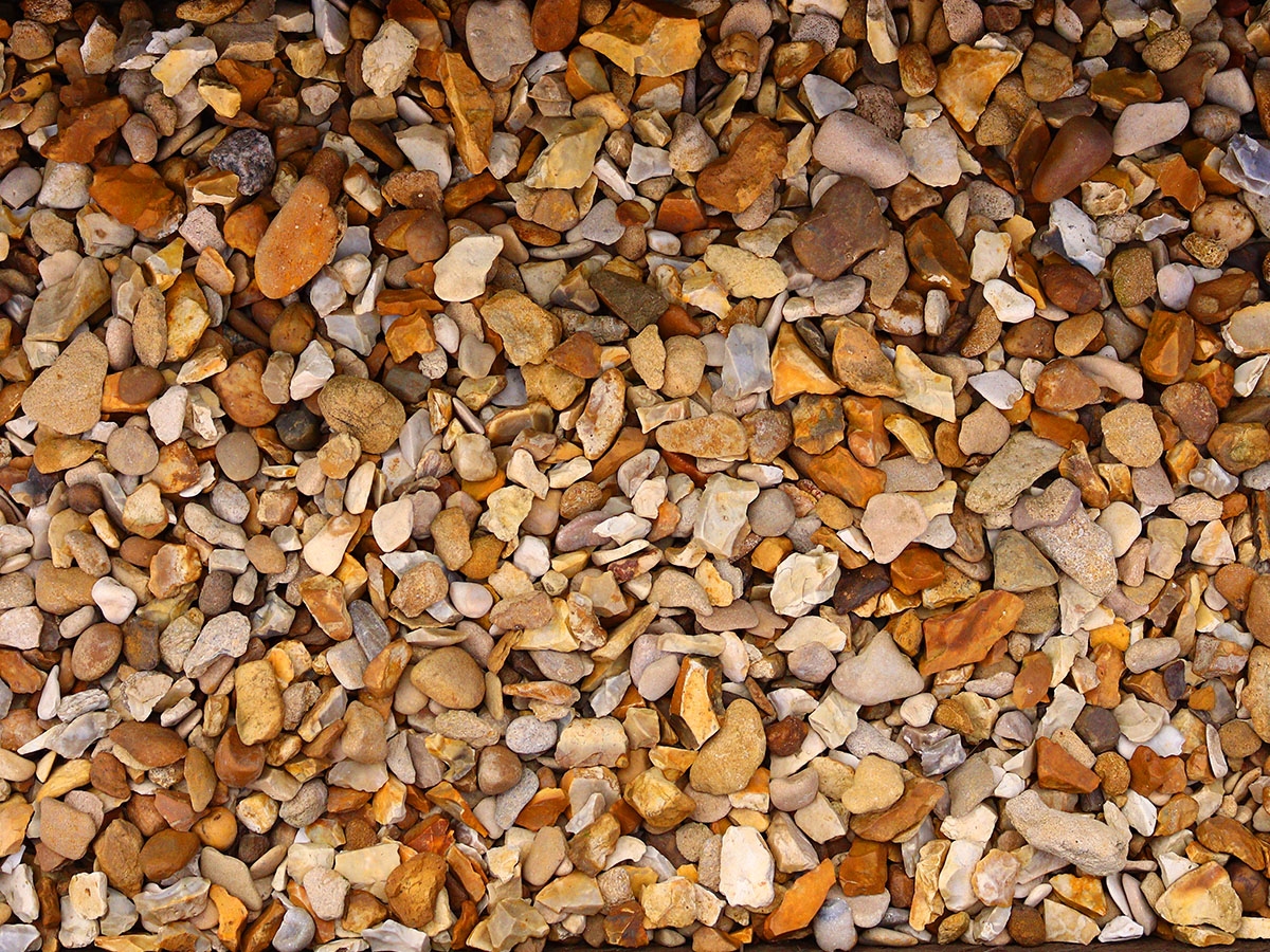 First slide for pid 9212