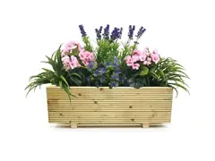 First slide for pid 12600
