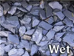 Second slide for pid 31597