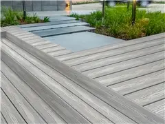 Fourth slide for pid 54074