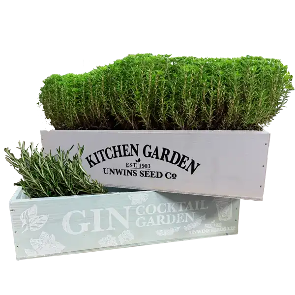 Gin Cocktail Garden Herb Planter (Set of Two)