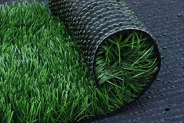 Artificial Grass / Lawn